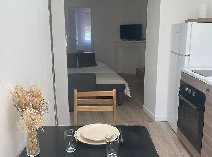 Acacia Terrasse*proche Centre-ville Et Chu